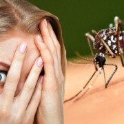боязнь насекомых фобия называется